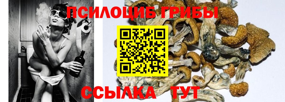 Галлюциногенные грибы Magic Shrooms Кольчугино